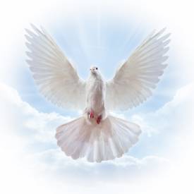 Sweet Grace (Type) fragrance oil